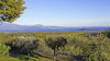 Dreizimmerwohnung mit schönem Seeblick in Wohnanlage mit Schwimmbad in Puegnago del Garda
