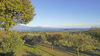 Dreizimmerwohnung mit schönem Seeblick in Wohnanlage mit Schwimmbad in Puegnago del Garda