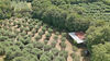 Freistehendes Haus mit großem Grundstück in Calvagese della Riviera