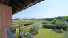 Leuchtende Dreizimmerwohnung mit exklusiver Terrasse und Garage in Residenz mit Pool, in Portese zu verkaufen