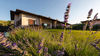 Elegante Villa mit Seeblick und exklusivem Garten in San Felice del Benaco zum Verkauf